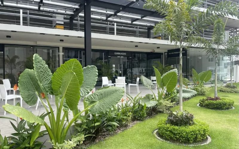 Mercado de bienes raíces en Panamá: qué conviene más, comprar para vivir o alquilar
